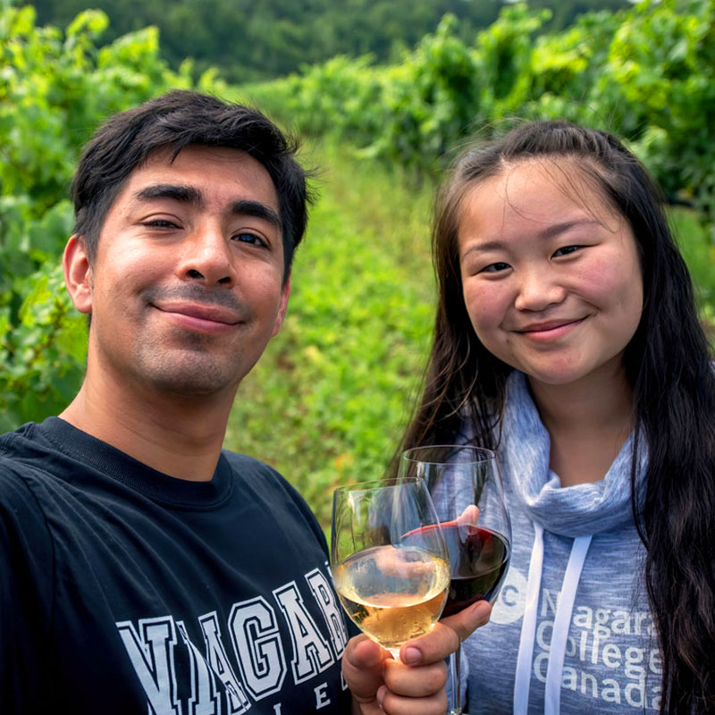 Two students toast wine glasses with red and white wine in the vineyard