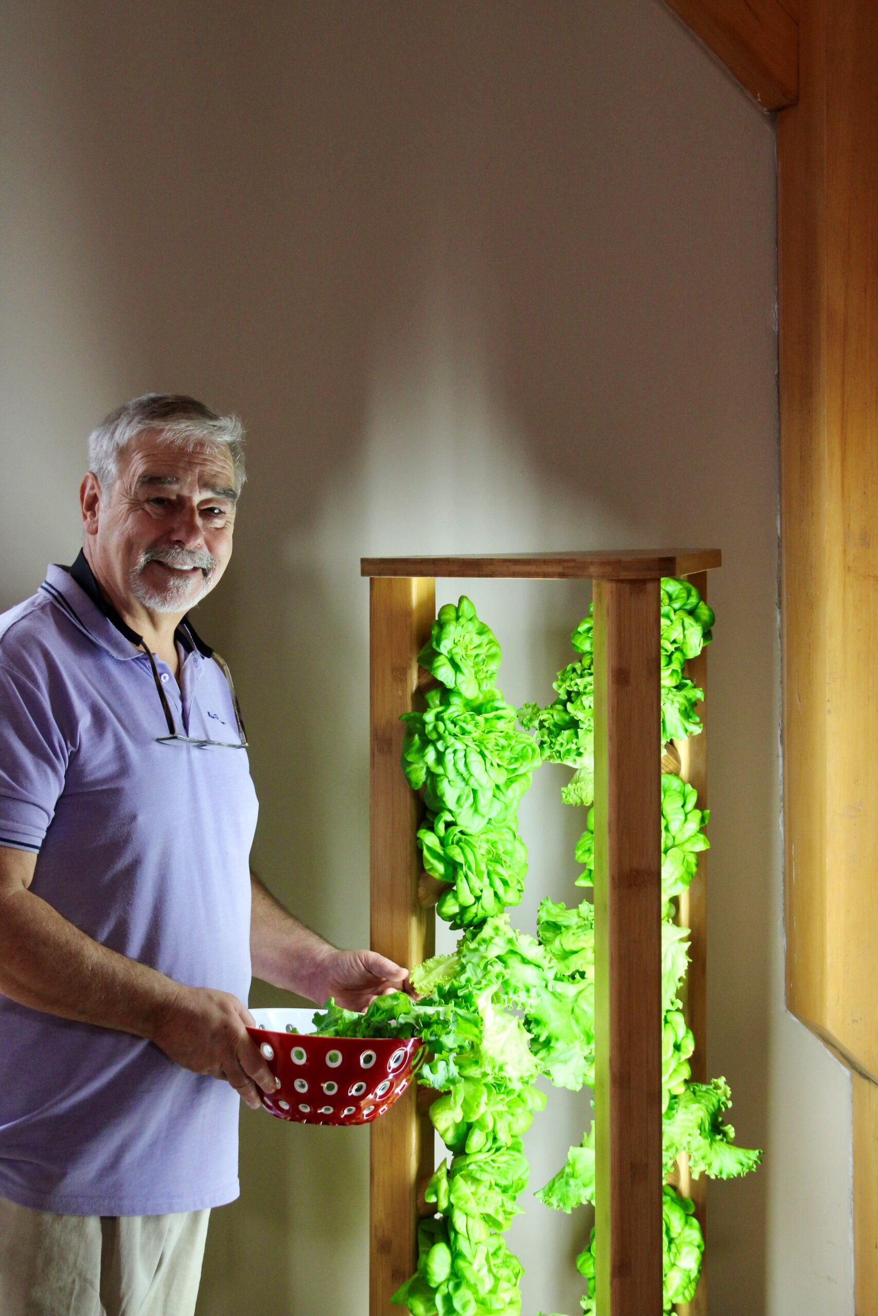 Man standing next to hydroponics growing lettuce