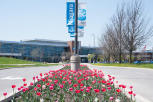 Boulevard at Welland Campus with NC flags on signposts, a pink tulip garden, and glass exterior of campus in background