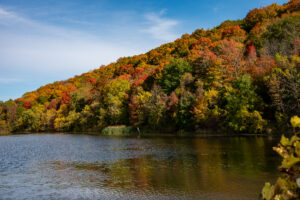 The gorgeous Niagara Escarpment at the NOTL campus in fall, with brightly coloured trees over the cool waters of the lagoon